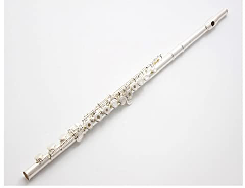 ALFAAL Querflöte Versilbert Mittelstufe Schülerflöte B Bein 17 Loch Öffnung (Color : FL-311)