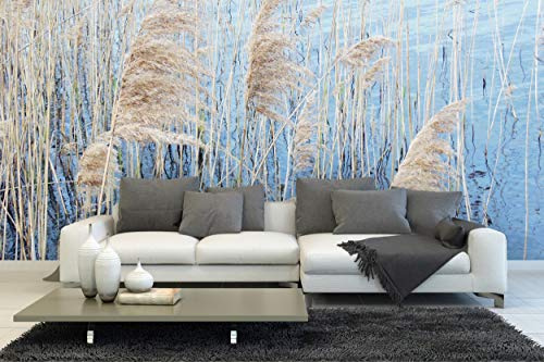 Glücksvilla - Schilfgras - Fototapete, selbstklebend 480 x 250 cm BxH