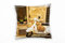 Paul Sinus Art Vintage, braun, weiß, Motorroller, Hauswand Deko Kissen 40x40cm für Couch Sofa Lounge Zierkissen - Dekoration zum Wohlfühlen