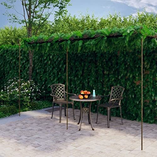 Gartenpergola Antik Braun 6x3x2,5m Eisen