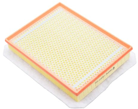 Castrol Filters CA0033 Air Filter