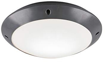 Reality Leuchten Außen Deckenleuchte Camaro R60501042, Kunststoff anthrazit/weiß, exkl. 1x E27