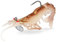 FISHN® GRUMPYcrab 12.5cm, 13.7gr, 2 Stück - Ultra realistischer Kunstköder Gummifisch zum Angeln auf Zander, Hecht, Dorsch, Seelachs inkl. Hacken und Gewicht (Nature)