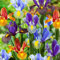 Collezione di Iris olandesi Tiger Mischung (50 pièces), collezione di giunchi, 5 varietà/colori, perenne, bulbi di fiori provenienti dall'Olanda per giardino, vaso (grandi bulbi, non semi).