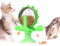 YCYUYK Interaktives Katzenspielzeug Puzzle Spielzeug, Langeweile Rotierende Windmühle Spielzeug Katze Plattenspieler Katze & Hund Slow Feeder Leckerli-Spender Grün