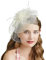 Fascinator Damen, Fascinator Damen Hut Blume Mesh Federn Kopfschmuck Braut Bankett Kopfbedeckung Hochzeit Cocktail Haarschmuck Jockey Club Tea Party Stirnband Flower Feder Headwear