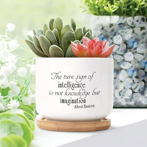 Pot de fleurs en céramique avec citation inspirante intelligence imagination pour plantes d'intérieur avec trous de drainage et soucoupes pour la décoration de la maison et du bureau