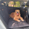 BMaoBBo Hundedecke Auto Rückbank Hardsole, Hundedecke Auto Rücksitz Wasserdicht und Kratzfest Abnehmbar und Waschbar, Rücksitzverbreiterung für Familienautos, SUVs (Schwarz)