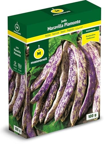 Mascarell Semillas, JUDÍA MARAVILLA PIAMONTE (TIPO BOCA DRAGÓN), Semillas Leguminosas, Fácil de Cultivar en Casa, 100 G.