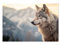 GRAZDesign Glasbild Wolf Tier in der Natur Glasbilder Wandbild aus Glas für Wohnzimmer, Küche, Flur oder Büro - 60x40cm