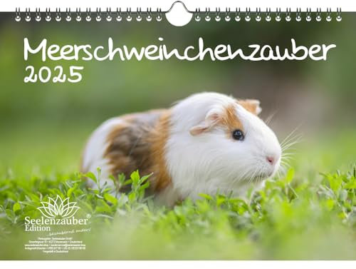 Meerschweinchenzauber DIN A4 Kalender für 2025 Haustier Meerschweinchen - Seelenzauber