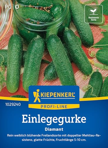 Kiepenkerl Einlegegurkensamen Diamant 1029240, Gemüsesaat | Glatte Früchte, Cornichons, für eingelegte Gurken, Wuchshöhe 30-120 cm, kompakt