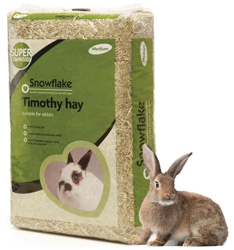 STAR SUPPLIES Dust Extracted Natural Fibre Grass Timothy Hay | Great For Degus, Hamsters & Guinea Pigs