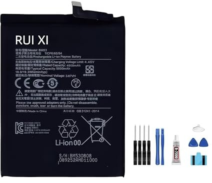 RUI XI Akku kompatibel für Xiaomi 10T 10T Pro 5000mAh 3,87V BM53 Akku