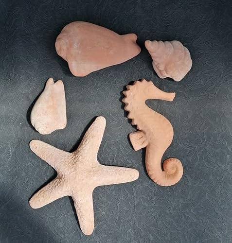5 er Set Muscheln Seepferd und Seestern aus Terracotta Terrakotta Deko Garten Teich Wasser Strand Urlaub Aquarium Aquaristik