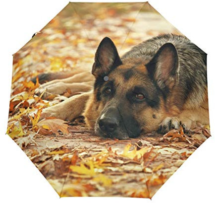 My Daily Regenschirm, Motiv: Deutscher Schäferhund, Herbstblätter, automatisches Öffnen/Schließen, leicht, kompakt, winddicht