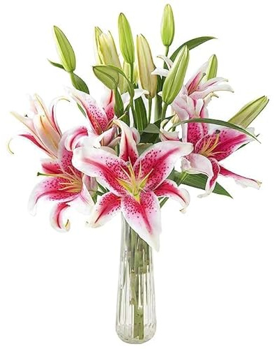 KaBloom - Barbie Bouquet of 5 Fresh Pink Stargazer Lily with Vase - Fresh Flowers for Birthday, Valentine's & Mother's Day