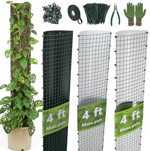 Bâtons de Mousse Monstera en Plastique à Auto-arrosage pour Plantes grimpantes d'intérieur - Fonctionne avec de la Mousse de sphaigne (3,7 m en Forme de D)