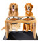 Yangbaga-Support à Bol pour Grand Chien, Support Elevé en Bois avec 2 Gamelles INOX de Grande Taille,Inclus1Tapis Antidérapant pour Chien et Chat-43.5 x 23 x 30 cm