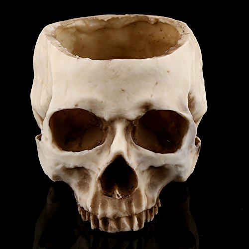 Skull Planter Key Bowl Fake 1Pc Harz Schädel Kopf Design Blumentopf Pflanzer Behälter Dekoration