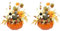 Amosfun 2 stücke Kürbis mit Ahornblätter Zierkürbisse Deko Kürbisse für Halloween Thanksgiving Herbstdeko (Sonne grün Gebogene Melone)
