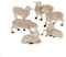 Holyart Schafe, Set 6-teilig, für 10 cm Krippe
