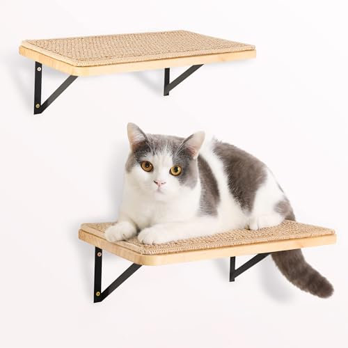 Lot de 2 étagères flottantes pour chat avec tapis en sisal, grandes étagères murales pour dormir, jouer, escalader et se détendre, peuvent supporter jusqu'à 13,6 kg (39,7 x 25,4 cm)