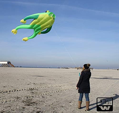 Wolkenstürmer® Einleiner Flugdrachen Fritz The Frog XL Grün Drachen für Einsteiger - 3D Drachen
