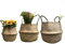 GOODCHANCEUK 3er Set Wäschekorb Faltbar Seegras Blumenkorb Handgewebt Blumen Stroh Korb für Pflanze Blumentopf mit Griffen