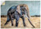 ARTland Wanddeko Wandtattoo selbstklebende Vinylfolie 100x70 cm Afrikanische Deko Tiere Elefant Afrika Savanne Safari U5BL