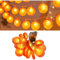 Aperol Deko Lichterkette Orange, 3 m 20 LED Aperol Spritz Kostüm Orangenscheiben Lichterkette Batteriebetrieben für Karneval, Halloween, Außen & Innen, Deko Wohnzimmer, Schlafzimmer (3 m/20 LED)