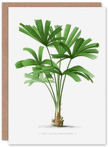 Artery8 Oswald de Kerchove Art Card Licuala Spinosa Palm Tree