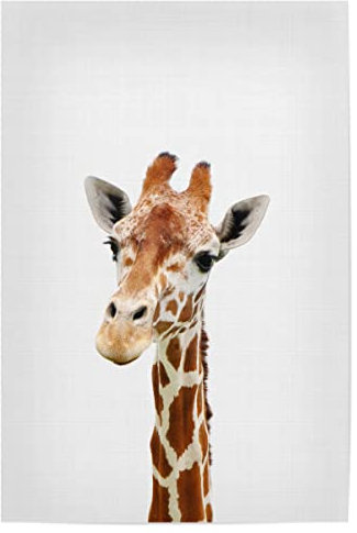 artboxONE Poster 30x20 cm Giraffe Tiere Cute Giraffe Portrait - Bild Giraffe Giraffe Portrait