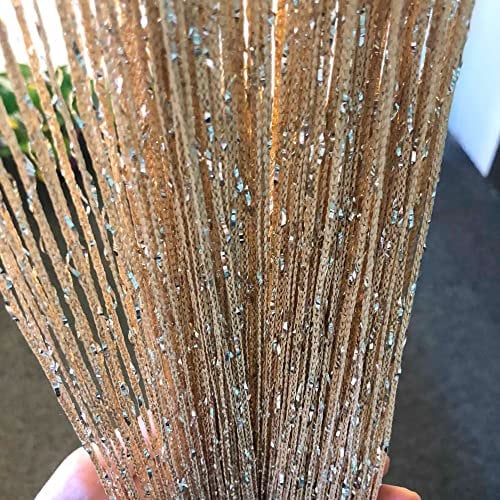 HYSENM 2 Tende 100 x 200 cm Tenda a Fili Glitterata Pannelli divisori per interni Tende per porta finestra Divisorio di Stanze Tenda zanzariera porta finestra, Champagne
