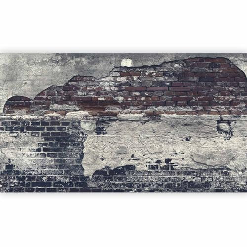 murando - Fototapete XXL Ziegelmauer 500x280cm- Foto Tapete Schlafzimmer Wohnzimmer Vliestapete XXL Wandtapete Motivtapeten Bildtapete 3d Effekt Wand Dekoration - Ziegel Ziegelstein f-A-0503-x-c