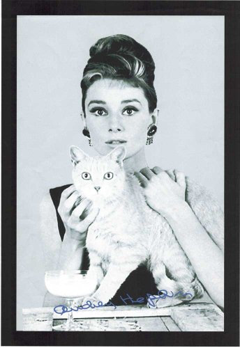 empireposter Audrey Hepburn Katze - Bedruckter Spiegel mit Kunststoff Rahmen in Holzoptik, Kult-Spiegel - Grösse 20x30 cm