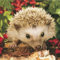 20er Pack Servietten Igel 33 x 33 cm