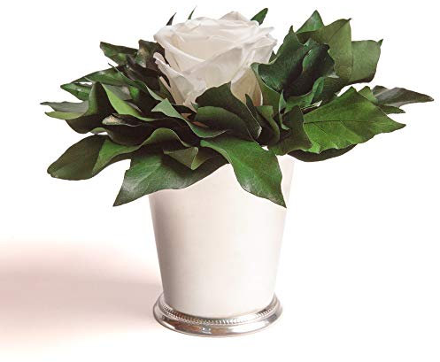 ROSEMARIE SCHULZ Heidelberg Infinity Blume in silberfarbenen Becher ewige Rose konserviert Blumenstrauß langhaltend (Weiss, 1 Rose)