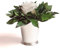 ROSEMARIE SCHULZ Heidelberg Infinity Blume in silberfarbenen Becher ewige Rose konserviert Blumenstrauß langhaltend (Weiss, 1 Rose)