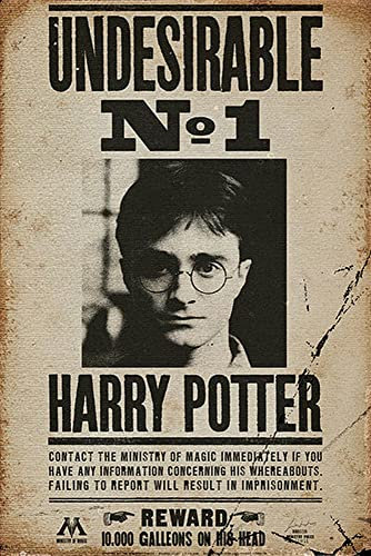 GB eye Ltd, Harry Potter, Undesirable No 1, Maxi-Poster, 61 x 91,5 cm, Paper, Multicolor, 91.5 x 61cm