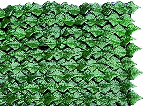 Blinky 7970610 Hecke, immergrün