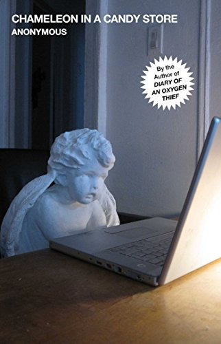 Chameleon in a Candy Store (Oxygen Thief Diaries Book 2) (English Edition)