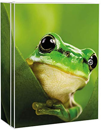 banjado Medizinschrank abschliessbar mit Motiv Frosch 35x46x15cm - großer Arzneischrank für die Hausaphotheke - Medikamentenschrank aus Metall zur Medikamenten Aufbewahrung