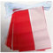 AZ FLAG Ghirlanda 6 Metri 20 Bandiere Polonia 21x15cm, Bandiera Polacca 15 x 21 cm - Festone Bandierine