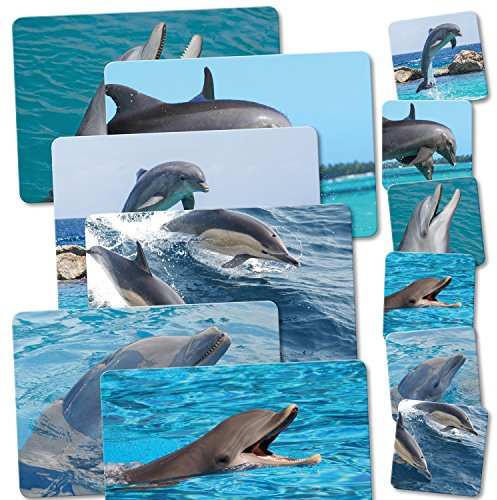 ADDIES Tischset und Glas-Untersetzer KOMBI-SET 12 teilig. DELFIN/DELPHIN . Laminierte Platzsets und Glas-Untersetzer mit Korkunterseite in schöner Klarsicht-Geschenkbox. Komplett-Set