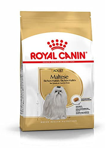 Royal Canin Maltese Adult | 1,5 kg |Trockenfutter für ausgewachsene Malteser | Zur Unterstützung des Fells und der Verdauung | Mit EPA & DHA | Für Hunde ab dem 10. Lebensmonat