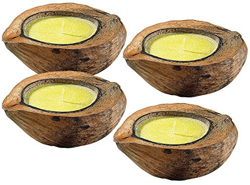 infactory Insektenschutz Kerze: Anti-Mücken-Kerzen in Kokosnuss-Schale (4er Set) (Mückenkerzen, Anti Insekten Kerze, Moskitonetz)