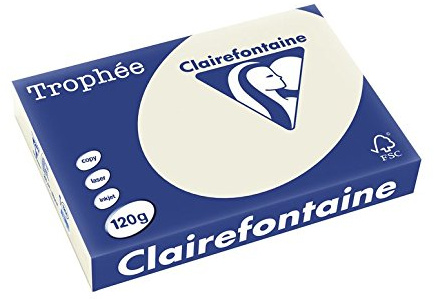 Clairefontaine 1201C - Ries mit 250 Blatt Druckerpapier / Kopierpapier Trophée, DIN A4 (21x29,7 cm), 120g, Perlgrau Pastellfarbe, 1 Ries