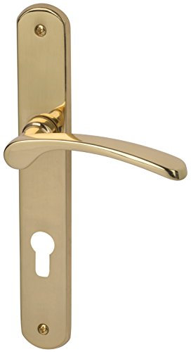 Alpertec Amos-LS 32740023 Poignée de porte en laiton poli PZ Poignée de porte pour porte d'entrée d'appartement Poignée des deux côtés