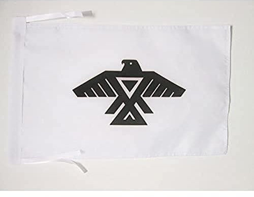 AZ FLAG - Flagge Anishinaabe Von Ontario - 45x30 cm Mit Kordel - Anishnabeg Fahne 30 x 45 Cm - Flaggen
